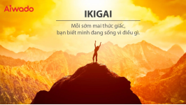 Triết lý "ikigai" - Bí quyết sống lâu và hạnh phúc của người Nhật